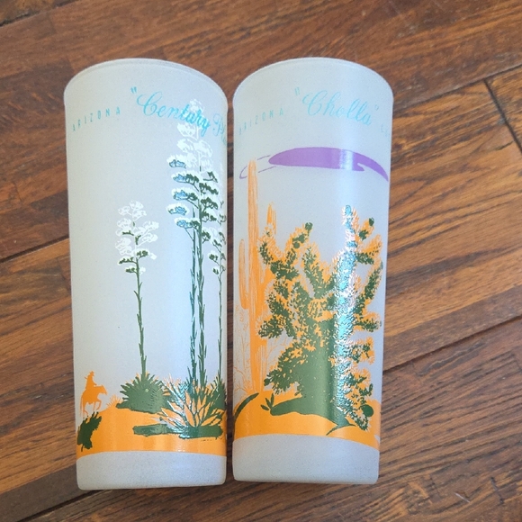 Blakely Other - Vintage Blakely Arizona Cactus Themed Glass Tumblers - Set of 2